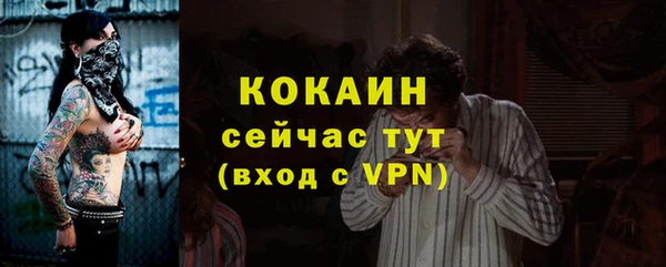 прущие грибы Тобольск