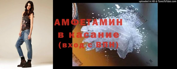 прущие грибы Тобольск