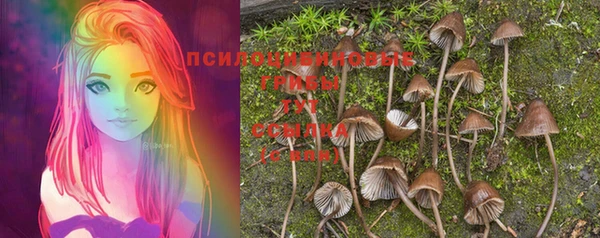 не бодяженный Волосово