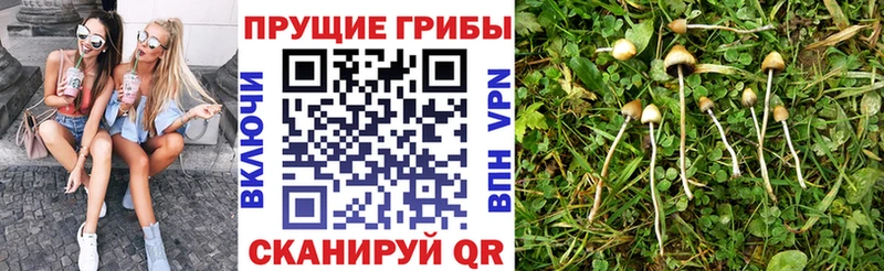 Псилоцибиновые грибы ЛСД  как найти   Мариинск 