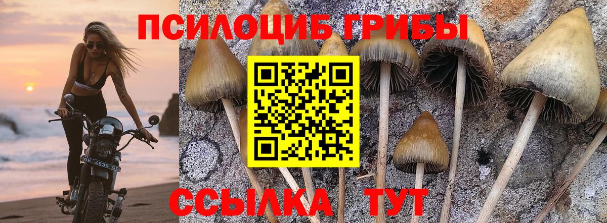 Мариинск  Галлюциногенные грибы мухоморы  Вход с VPN 
