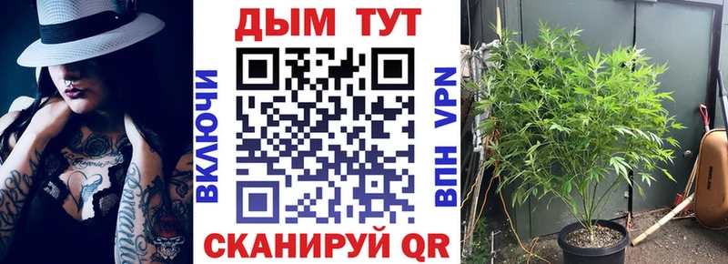 Шишки марихуана конопля  Мариинск 